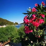 Διαμέρισμα Ivan *