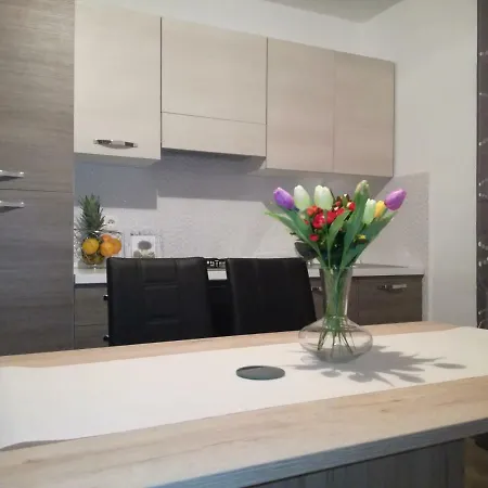 Apartamento Ivan *